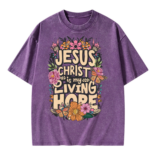 Living Hope Christian Washed T-Shirt