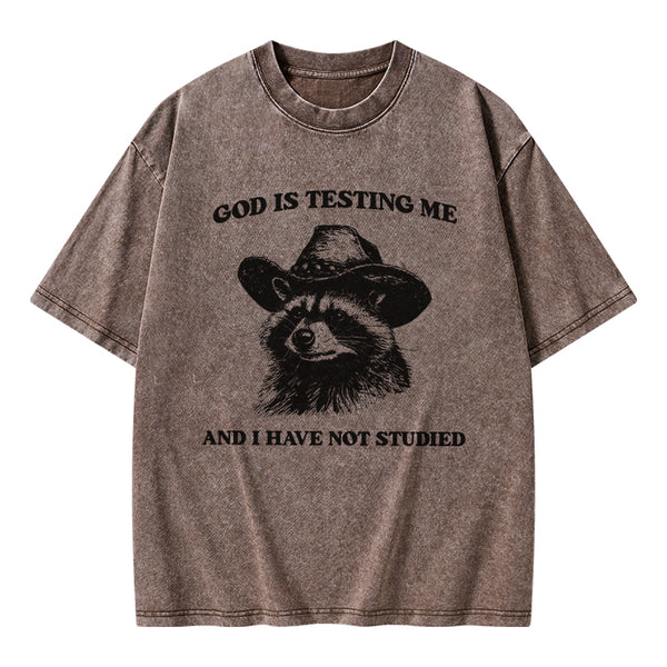 GC-WTSFK24072810 God's Testing Me Funny Raccoon Christian Washed T-Shirt