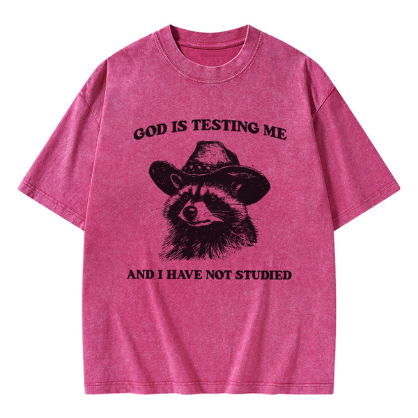 GC-WTSFK24072810 God's Testing Me Funny Raccoon Christian Washed T-Shirt