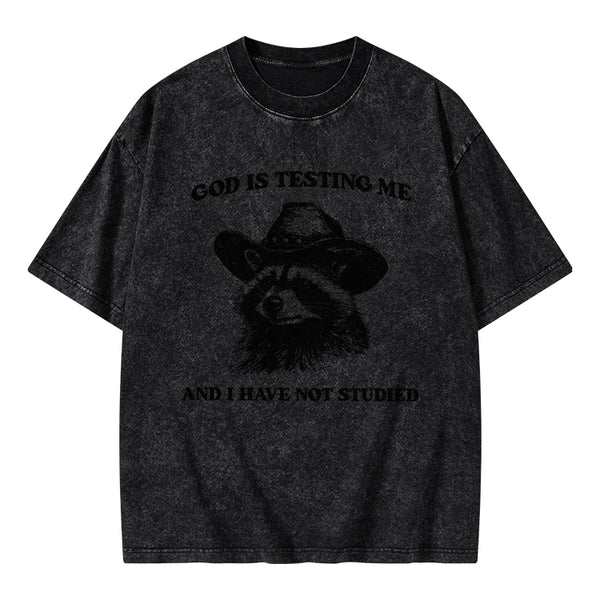 GC-WTSFK24072810 God's Testing Me Funny Raccoon Christian Washed T-Shirt