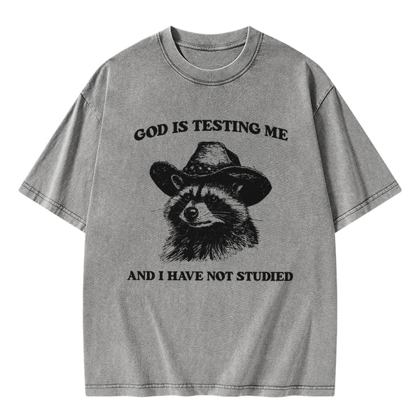 GC-WTSFK24072810 God's Testing Me Funny Raccoon Christian Washed T-Shirt
