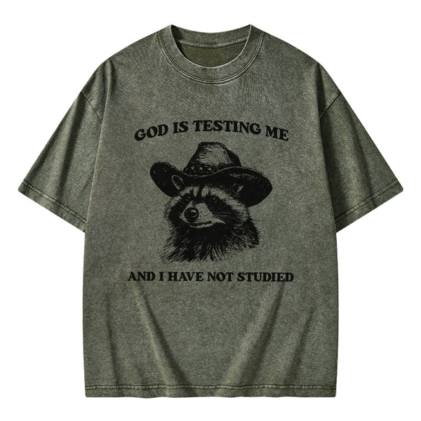 GC-WTSFK24072810 God's Testing Me Funny Raccoon Christian Washed T-Shirt