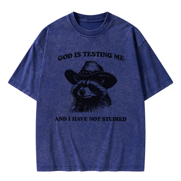 GC-WTSFK24072810 God's Testing Me Funny Raccoon Christian Washed T-Shirt