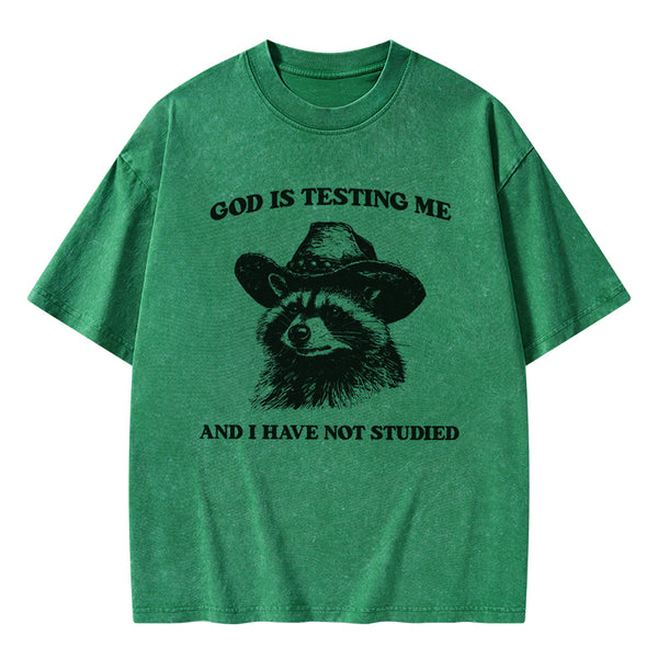 GC-WTSFK24072810 God's Testing Me Funny Raccoon Christian Washed T-Shirt