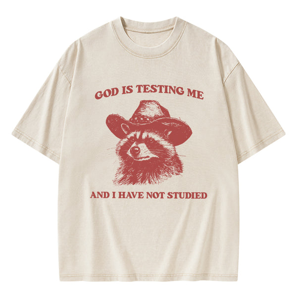 GC-WTSFK24072810 God's Testing Me Funny Raccoon Christian Washed T-Shirt