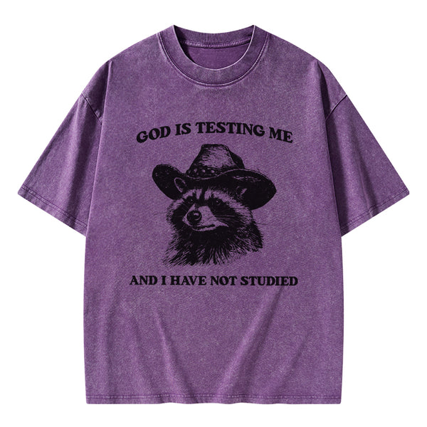 GC-WTSFK24072810 God's Testing Me Funny Raccoon Christian Washed T-Shirt