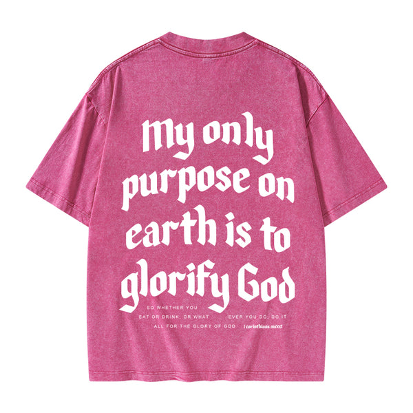 My Only Purpose Christian Washed T-Shirt