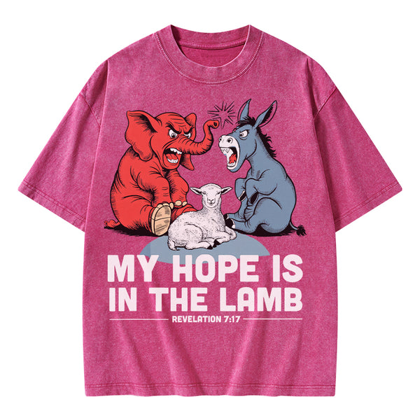 My Hope Is In The Lamb Christian Washed T-Shirt