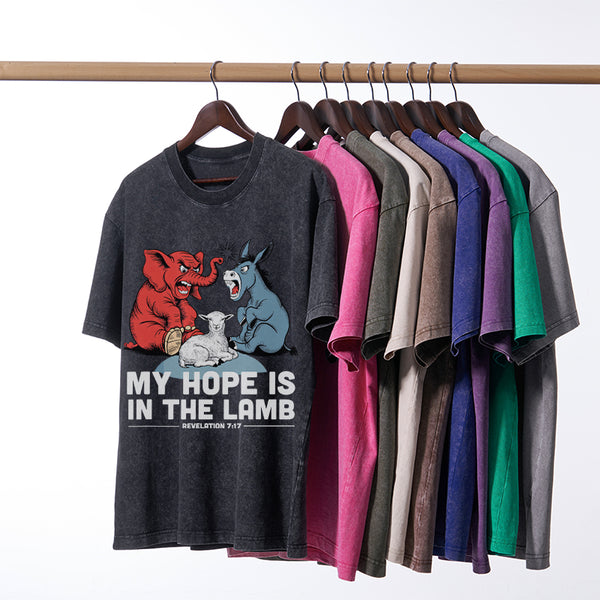 My Hope Is In The Lamb Christian Washed T-Shirt